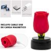 Vibrador con Succionador Izumi