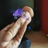 Anillo Vibrador