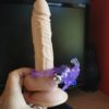 Anillo Vibrador