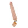 Vibrador Dr Skin Vibe 1