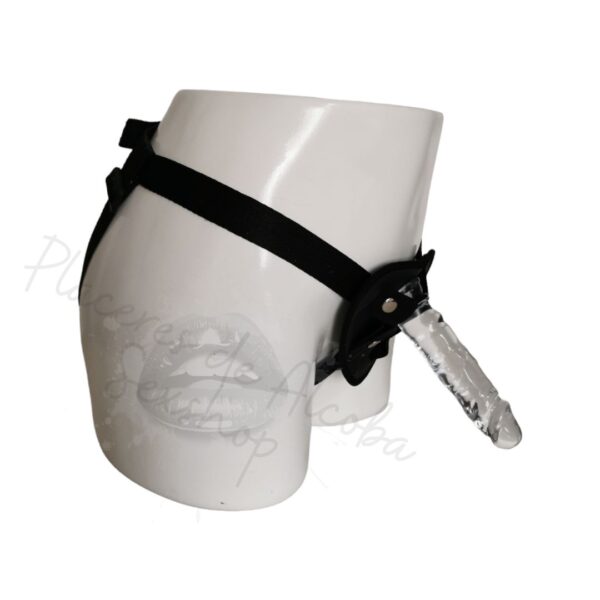 Arnes Jelly Transparente 6″