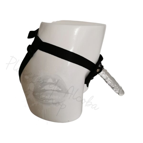 Arnes Jelly Transparente 6″